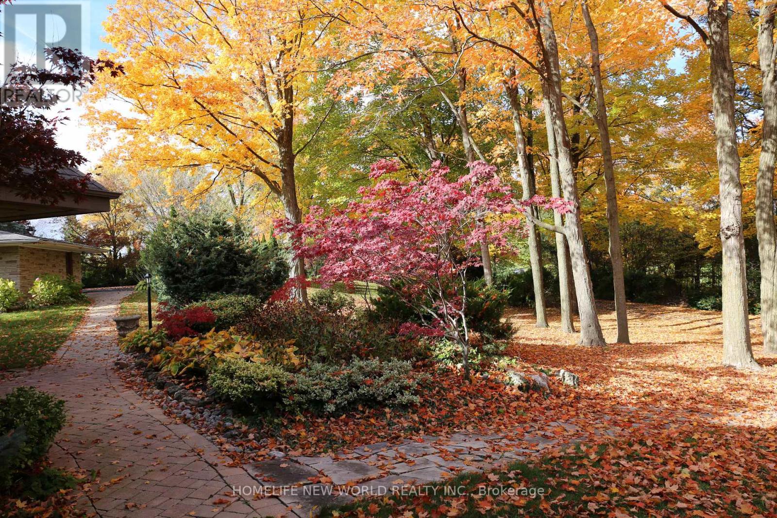 13867 Woodbine Avenue, Whitchurch-Stouffville, Ontario  L4A 2G1 - Photo 12 - N12644934