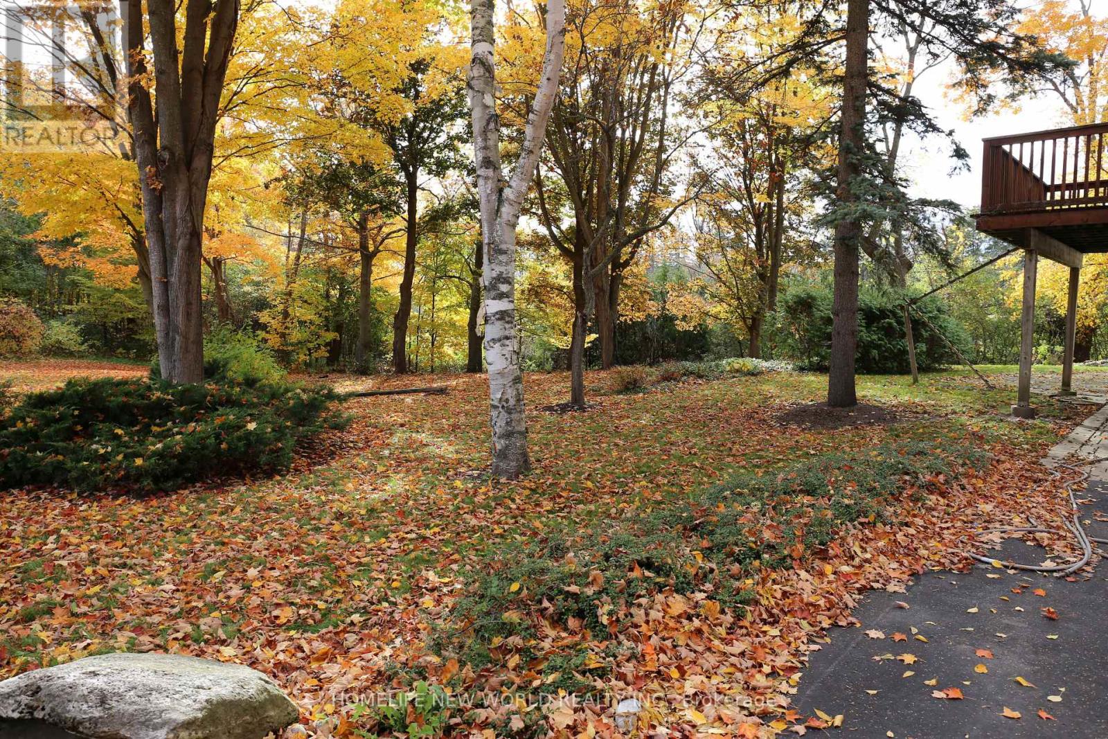 13867 Woodbine Avenue, Whitchurch-Stouffville, Ontario  L4A 2G1 - Photo 22 - N12644934