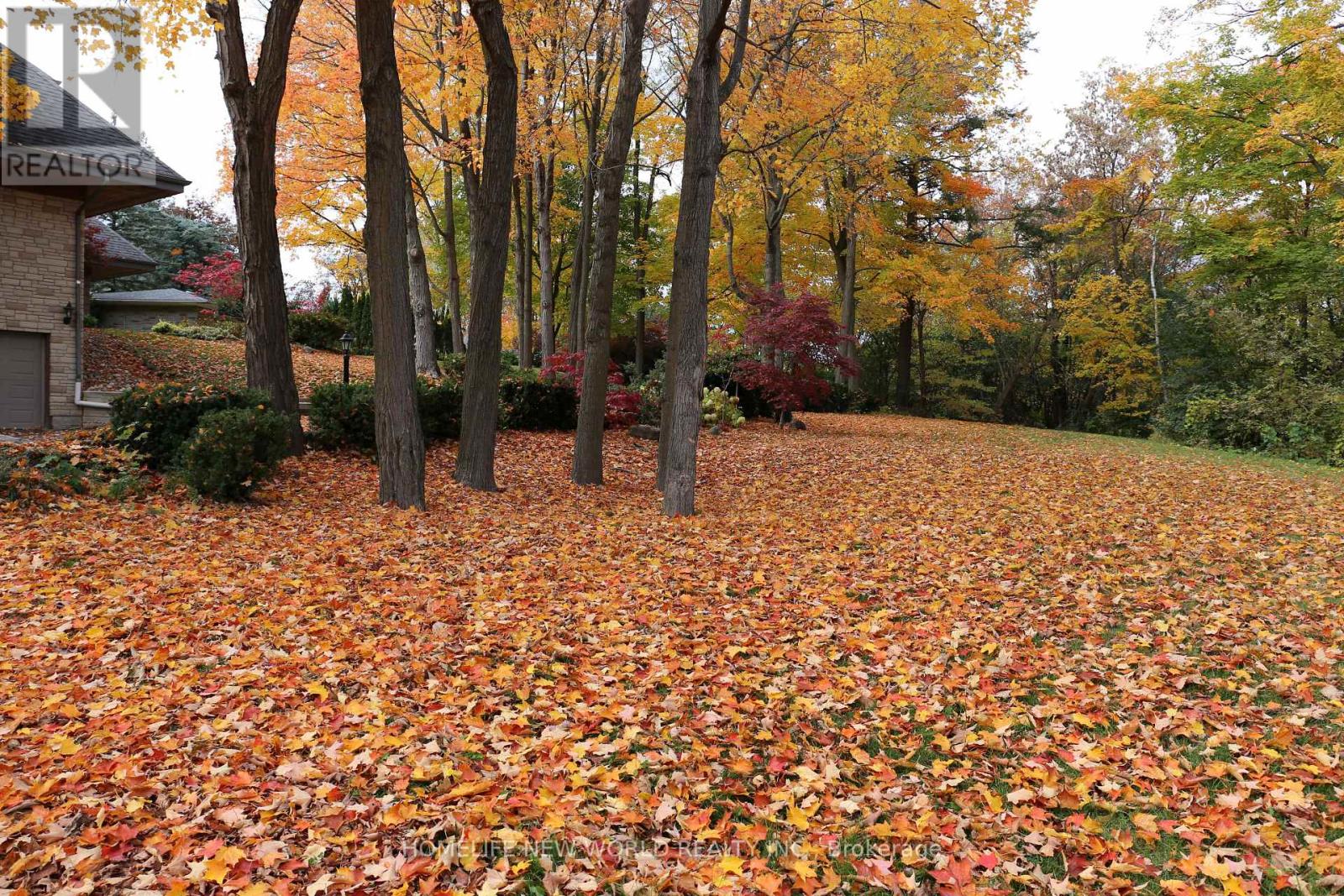 13867 Woodbine Avenue, Whitchurch-Stouffville, Ontario  L4A 2G1 - Photo 25 - N12644934