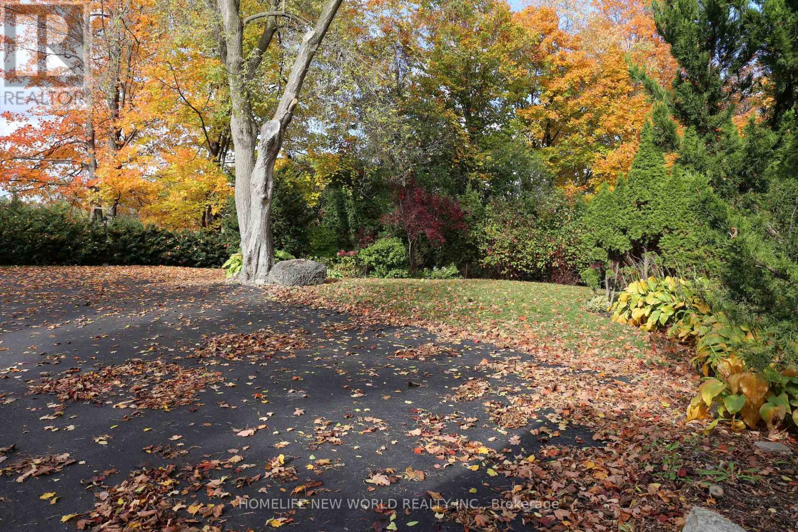 13867 Woodbine Avenue, Whitchurch-Stouffville, Ontario  L4A 2G1 - Photo 3 - N12644934