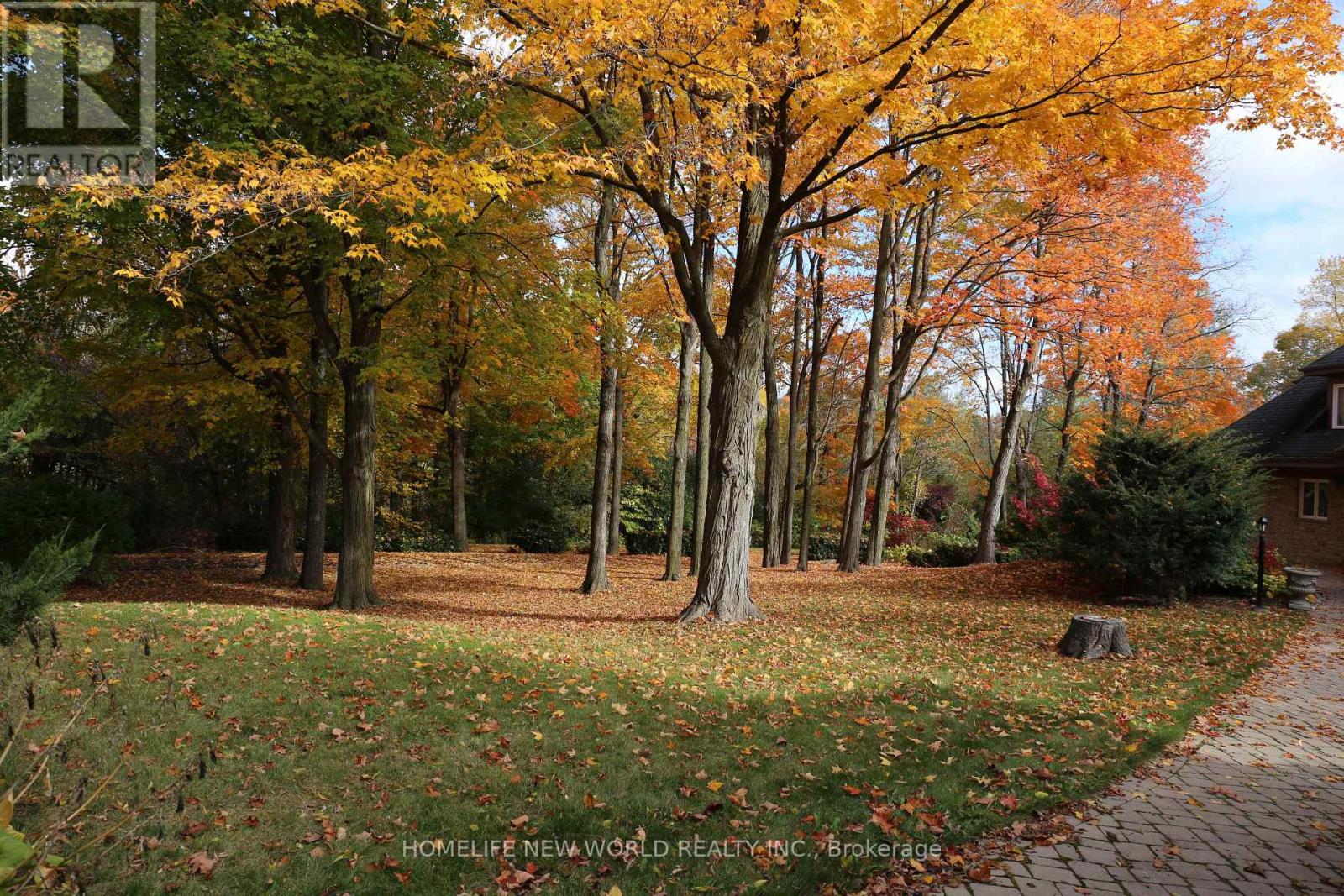 13867 Woodbine Avenue, Whitchurch-Stouffville, Ontario  L4A 2G1 - Photo 4 - N12644934