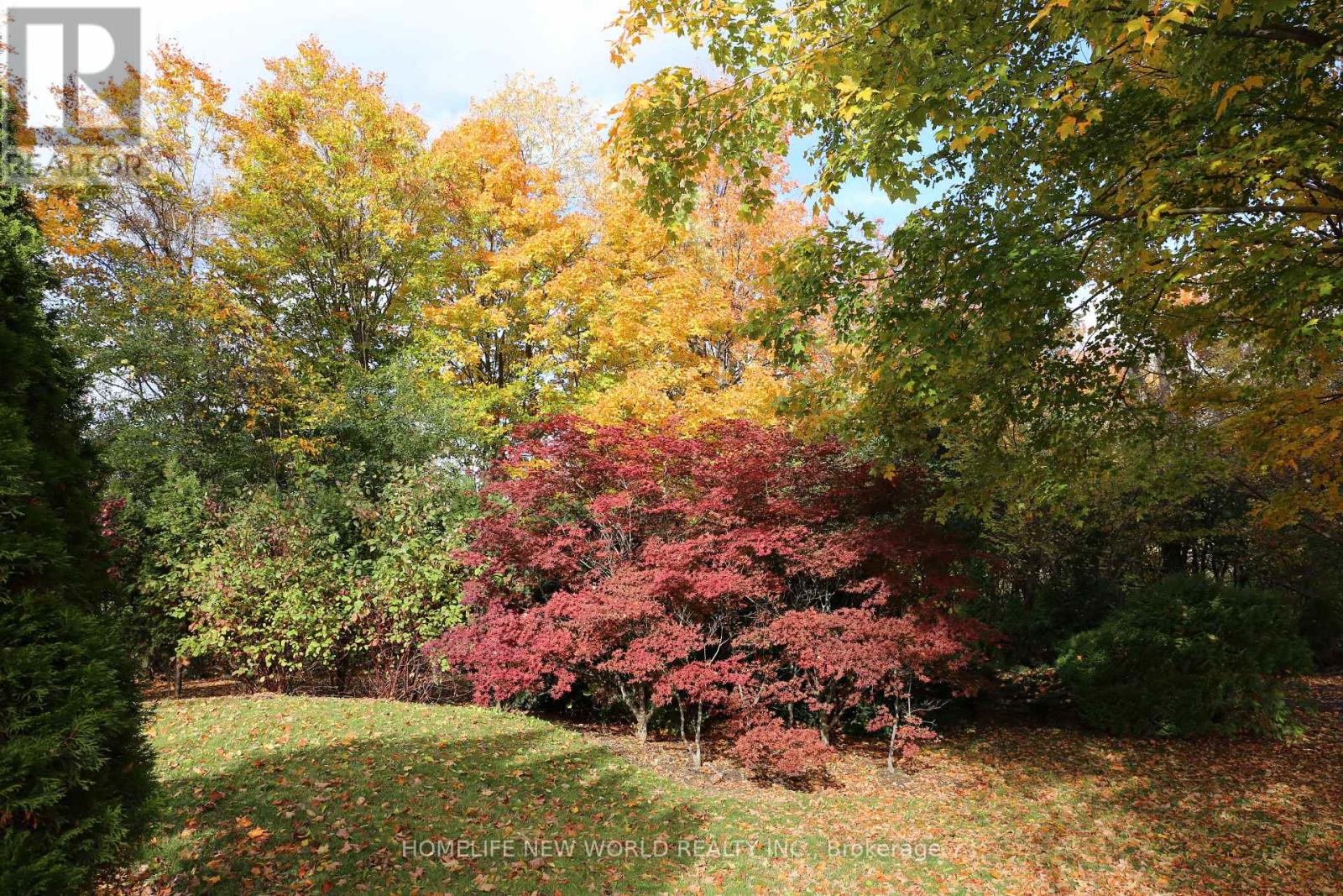 13867 Woodbine Avenue, Whitchurch-Stouffville, Ontario  L4A 2G1 - Photo 7 - N12644934