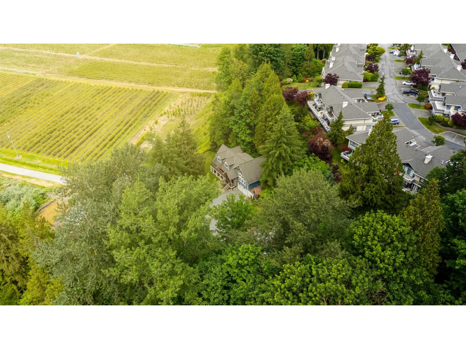 35005 Bateman Road, Abbotsford, British Columbia  V2S 7Y8 - Photo 36 - R3036646