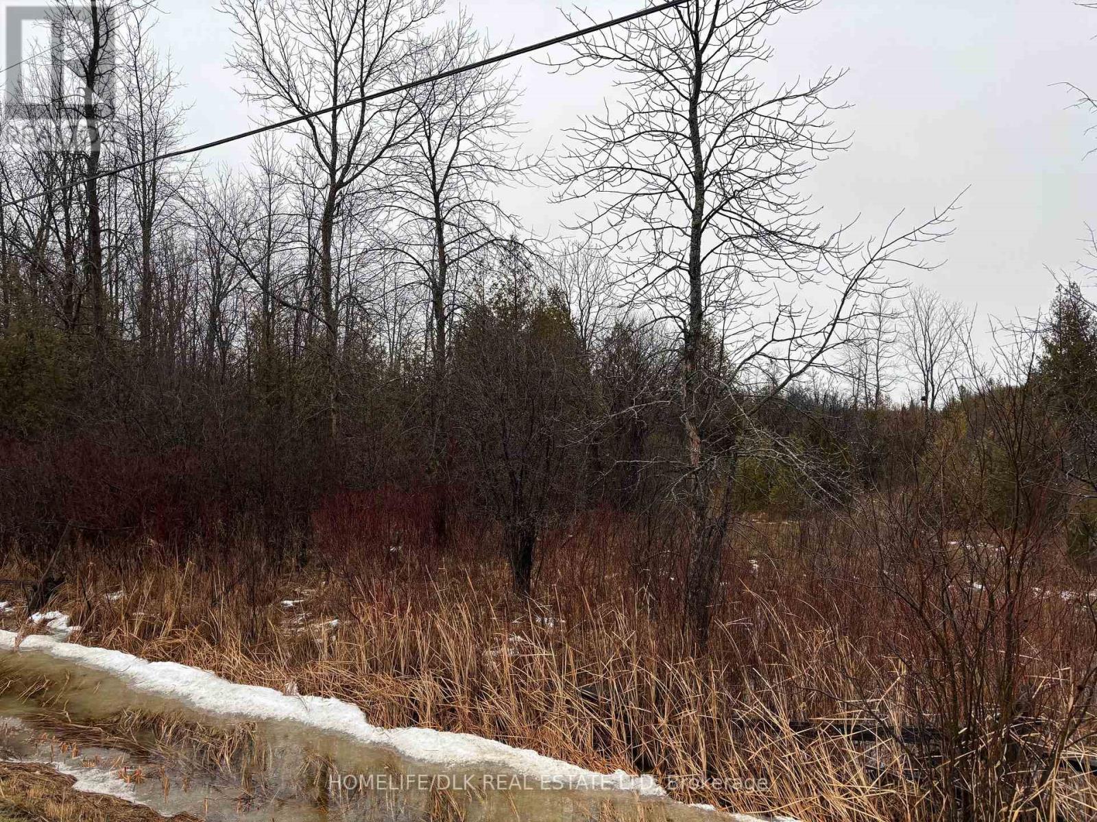 0 6th Concession Road, Augusta, Ontario  K6V 5T2 - Photo 2 - X12645010