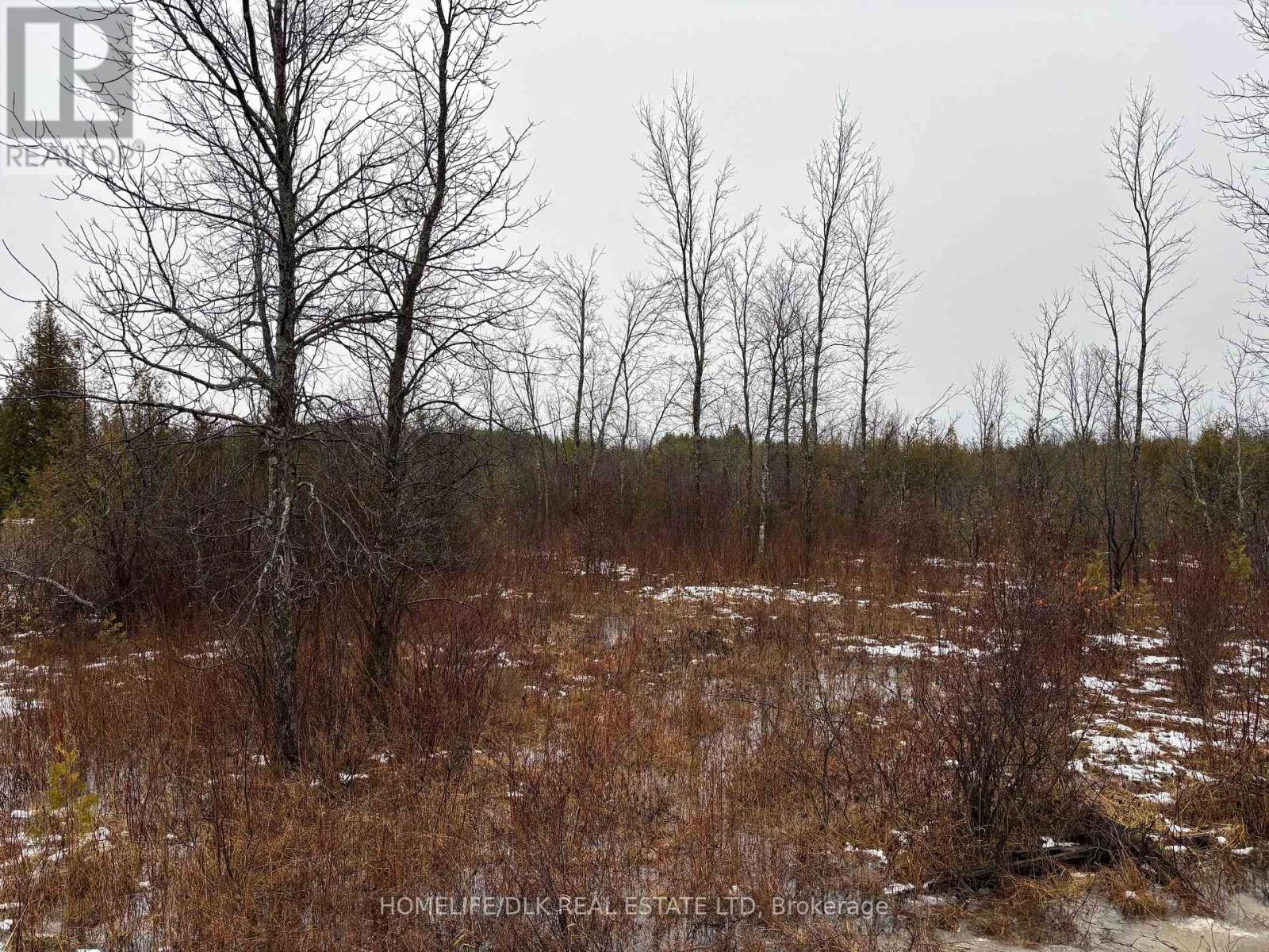 0 6th Concession Road, Augusta, Ontario  K6V 5T2 - Photo 3 - X12645010