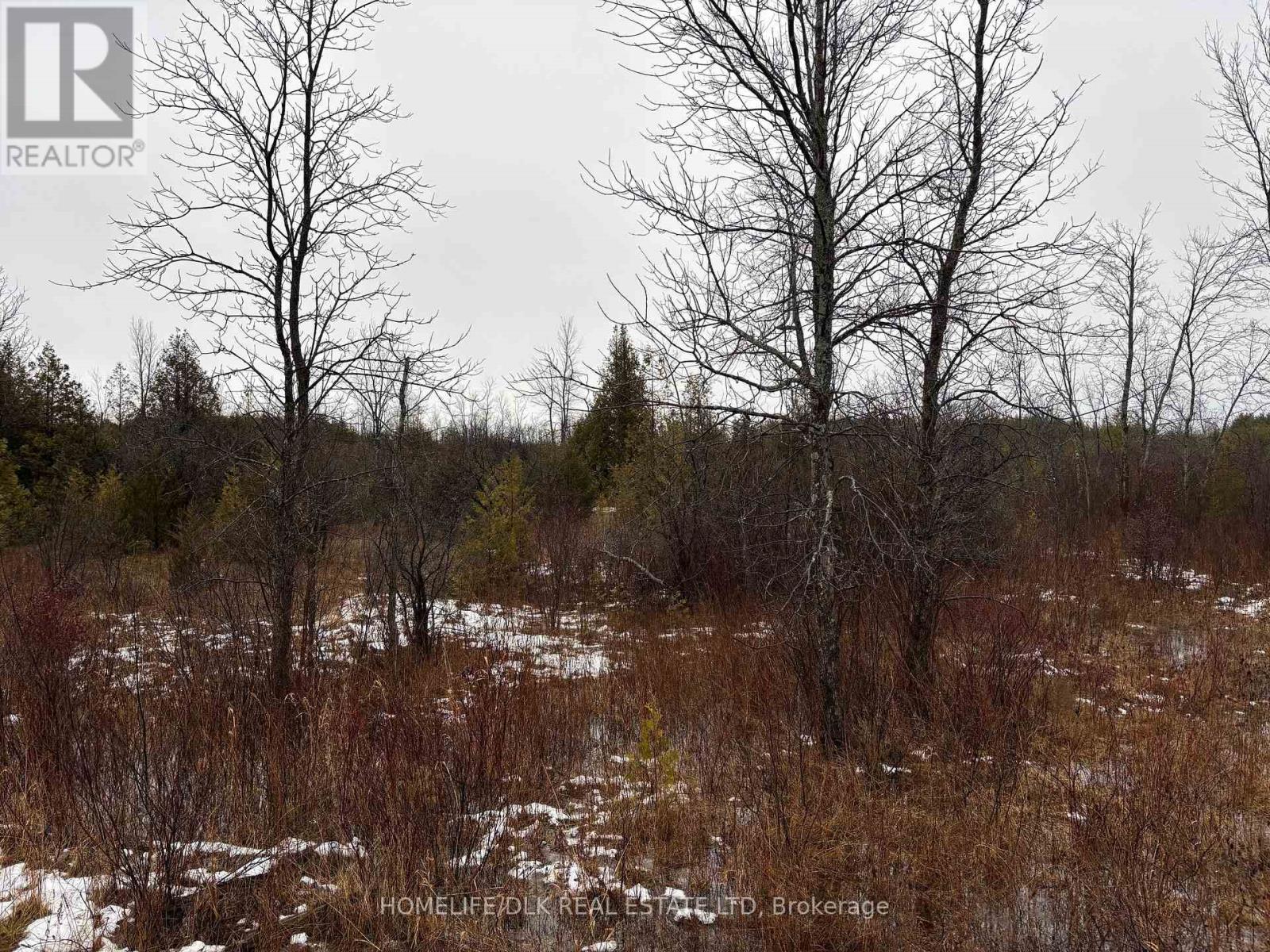 0 6th Concession Road, Augusta, Ontario  K6V 5T2 - Photo 4 - X12645010