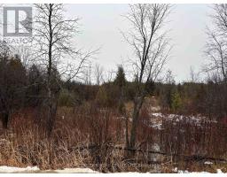 0 6TH CONCESSION ROAD, Augusta, Ontario