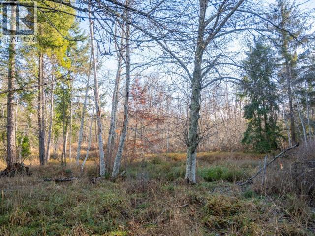 6080 Shelter Point Road, Texada Island, British Columbia  V0N 1W0 - Photo 60 - 19547