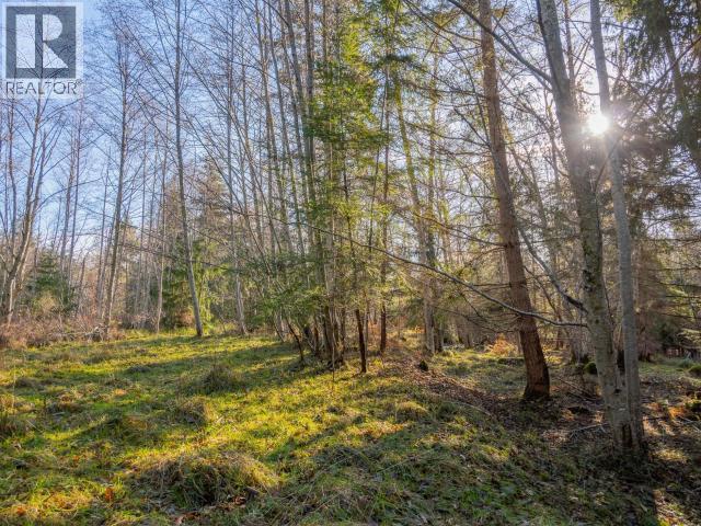 6080 Shelter Point Road, Texada Island, British Columbia  V0N 1W0 - Photo 40 - 19547