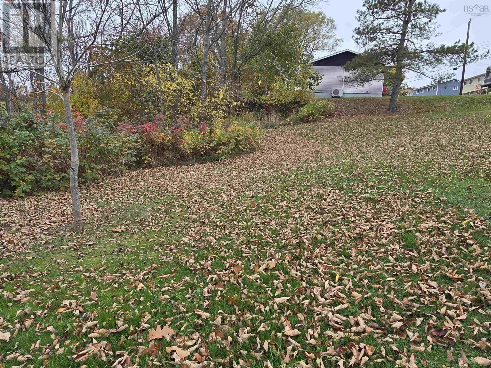 25-1 Weir Avenue, Stellarton, Nova Scotia  B0K 1S0 - Photo 3 - 202516076