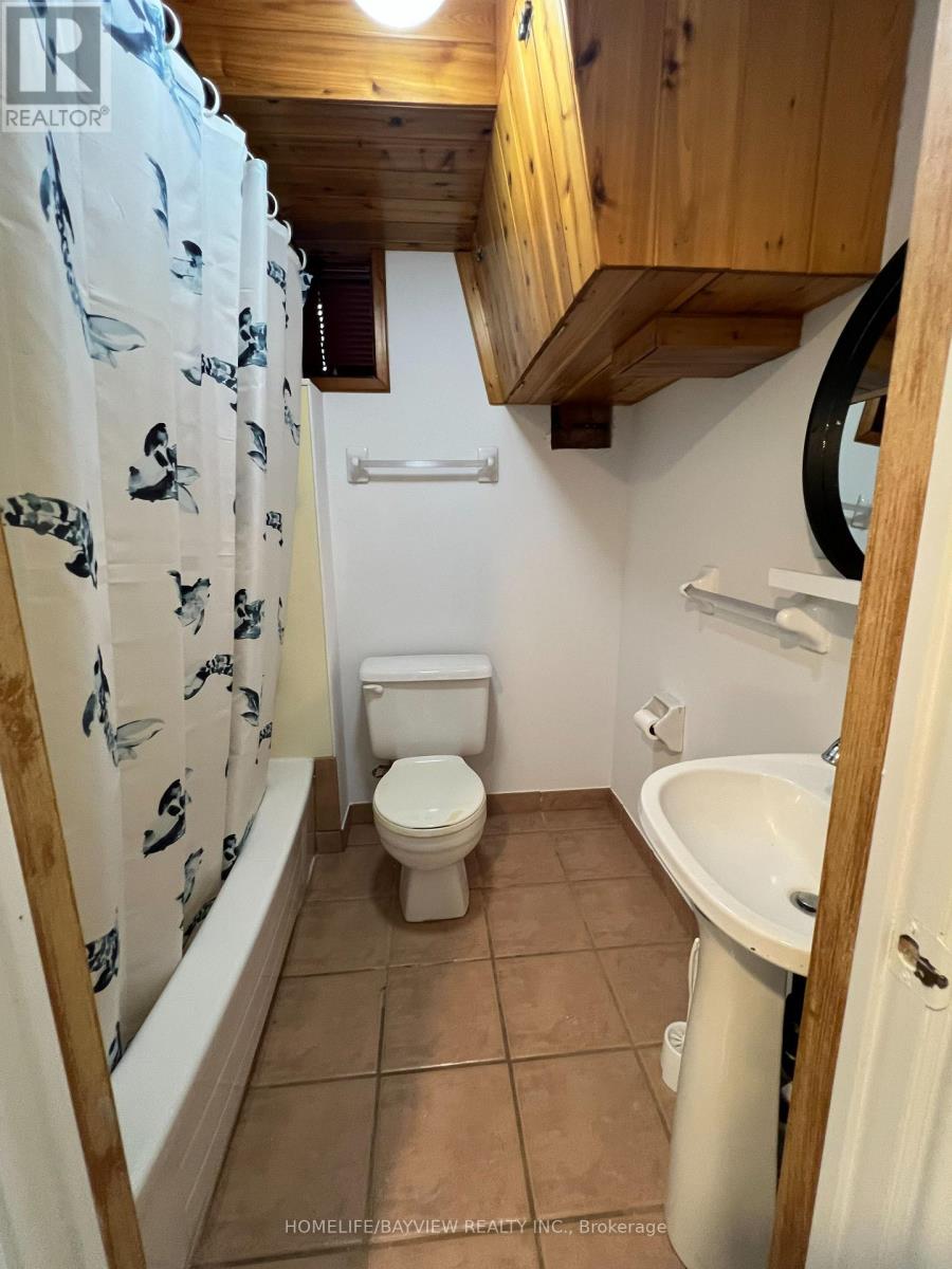 Bmnt - 379 Carruthers Avenue, Newmarket, Ontario  L3X 2B8 - Photo 11 - N12645316