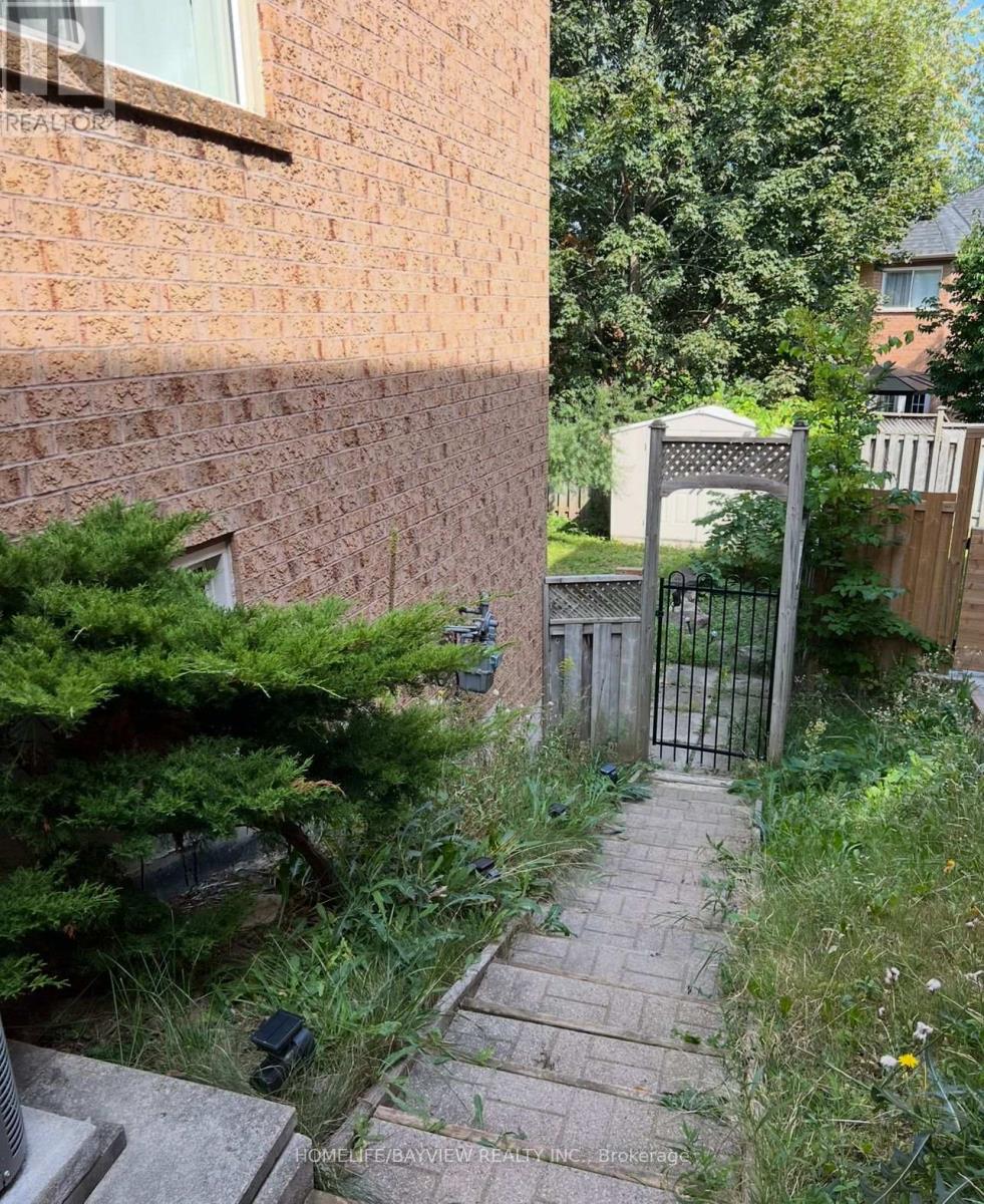 Bmnt - 379 Carruthers Avenue, Newmarket, Ontario  L3X 2B8 - Photo 3 - N12645316