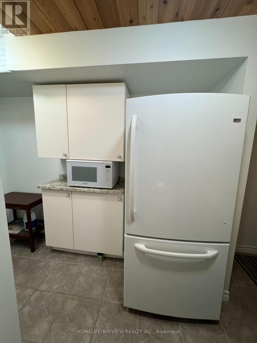 Bmnt - 379 Carruthers Avenue, Newmarket, Ontario  L3X 2B8 - Photo 8 - N12645316