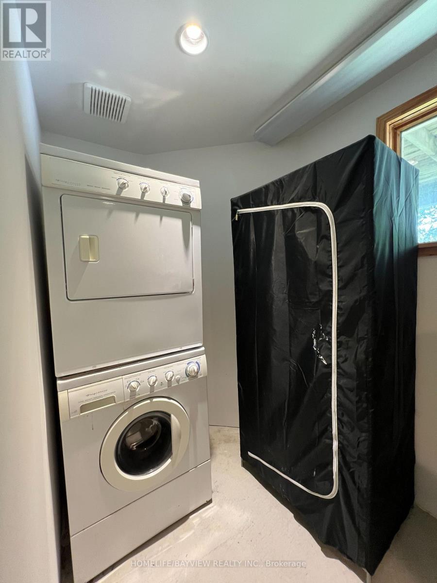 Bmnt - 379 Carruthers Avenue, Newmarket, Ontario  L3X 2B8 - Photo 9 - N12645316