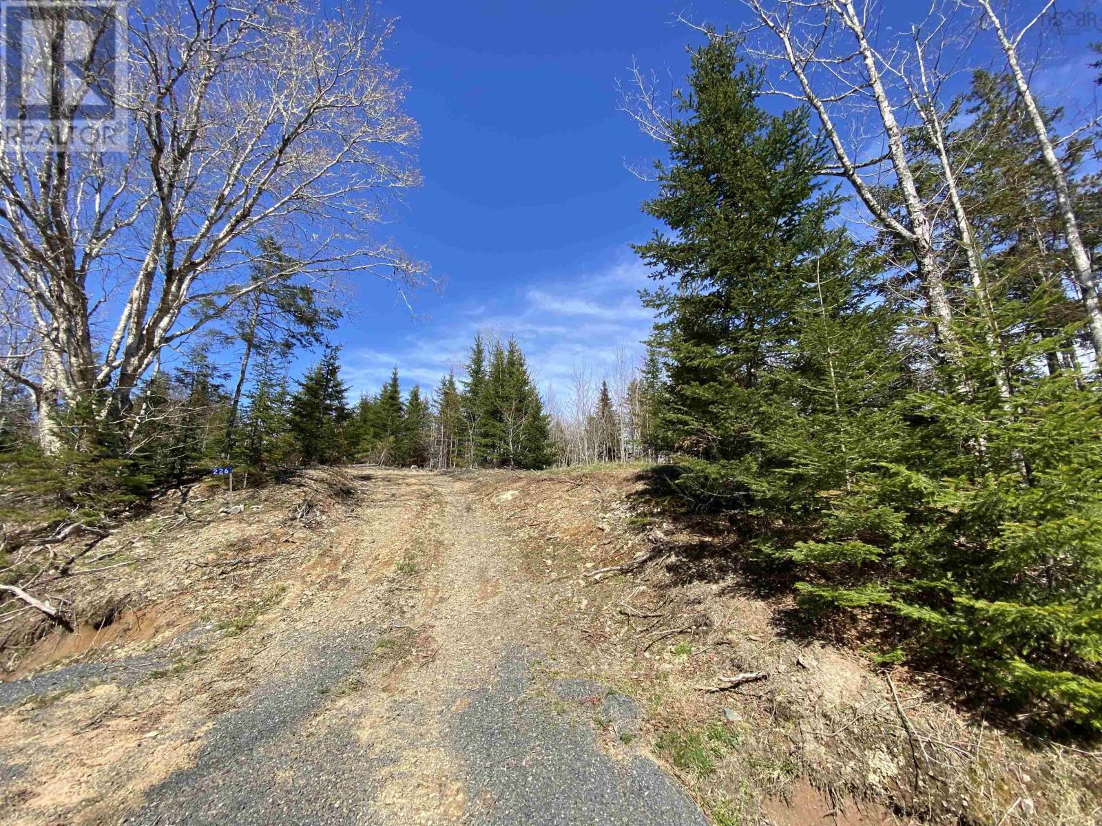 Lot 22-3 226 Brookville Branch Road, Bridgeville, Nova Scotia