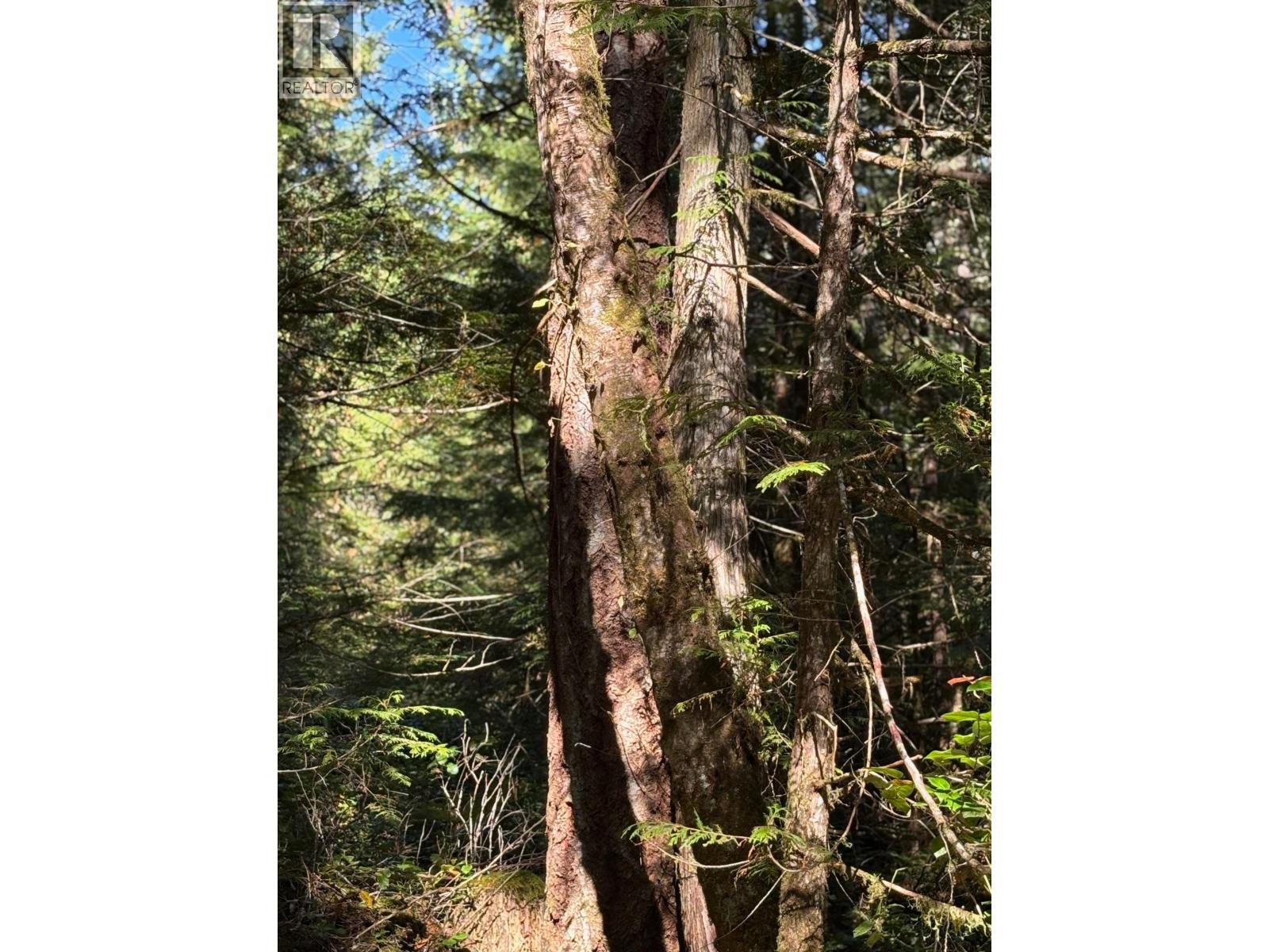 Lot B Porters Road, Pender Harbour, British Columbia  V0N 2H1 - Photo 13 - R3059300