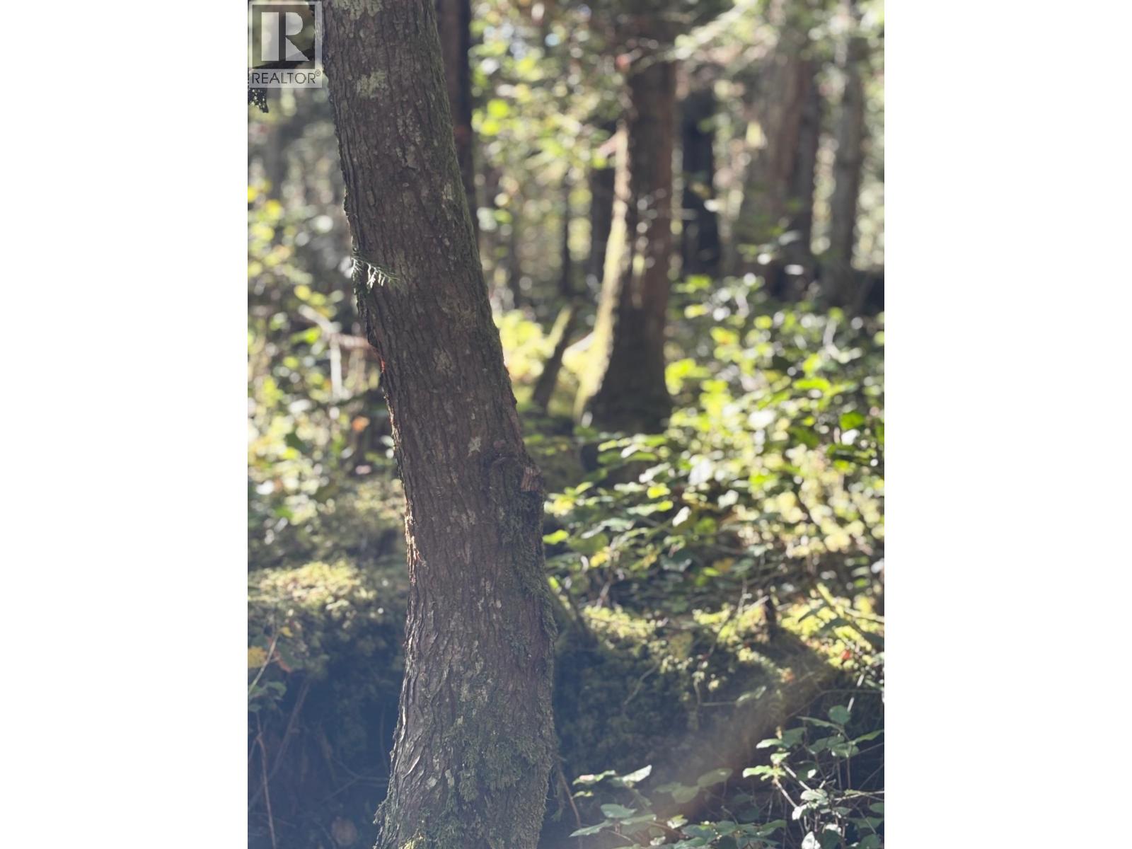 Lot B Porters Road, Pender Harbour, British Columbia  V0N 2H1 - Photo 12 - R3059300