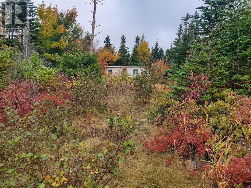 W113 Old Witless Bay Line, Holyrood, Newfoundland & Labrador  A0A 2R0 - Photo 2 - 1293362