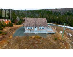 43 Birch Ridge Road, Goulds Big Pond, Newfoundland & Labrador