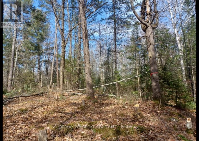 1678 Locksley Road, Laurentian Valley, Ontario  K8A 6W5 - Photo 14 - X12644600