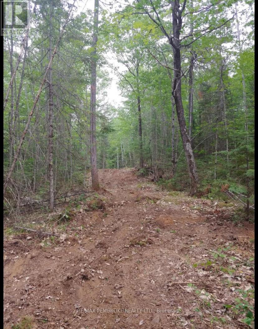 1678 Locksley Road, Laurentian Valley, Ontario  K8A 6W5 - Photo 11 - X12644600