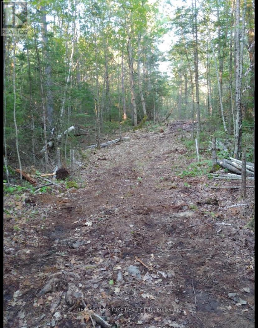 1678 Locksley Road, Laurentian Valley, Ontario  K8A 6W5 - Photo 10 - X12644600