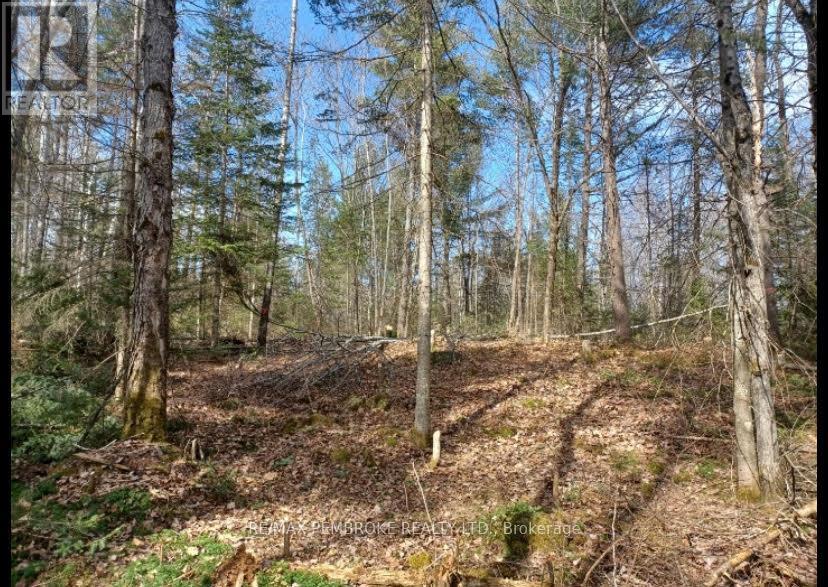 1678 Locksley Road, Laurentian Valley, Ontario  K8A 6W5 - Photo 12 - X12644600