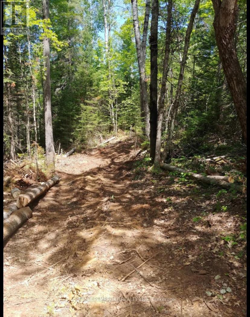 1678 Locksley Road, Laurentian Valley, Ontario  K8A 6W5 - Photo 15 - X12644600