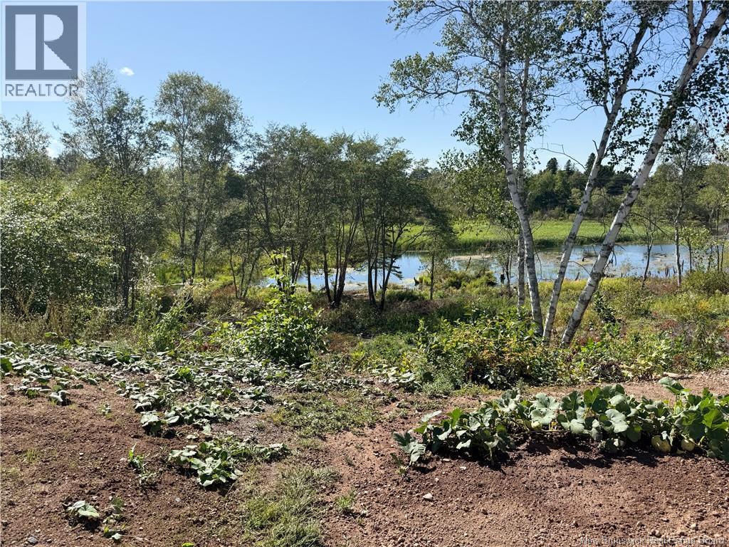 24 Brook Street, Sussex Corner, New Brunswick  E4E 3X3 - Photo 23 - NB131419