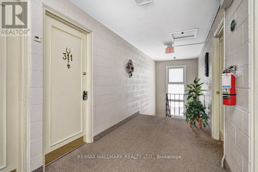 311 - 155 Queen Street N, Minto, Ontario  N0G 2P0 - Photo 8 - X12637992