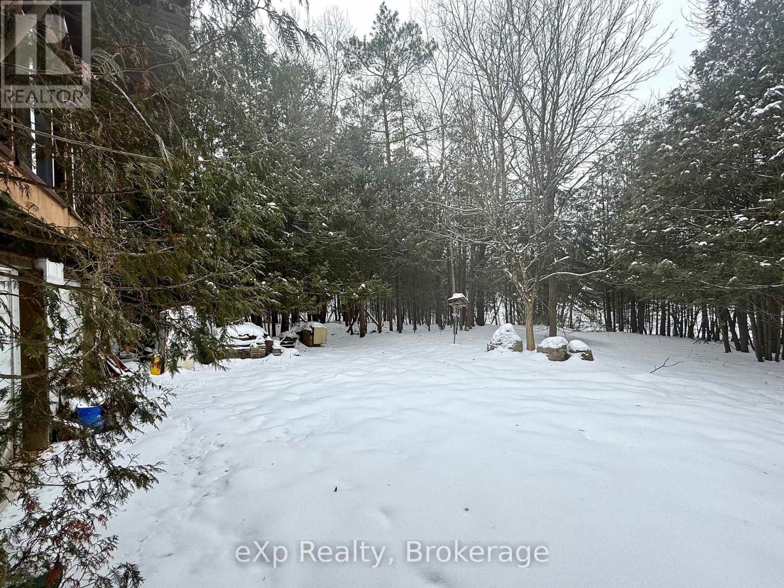 173266 Mulock Road, West Grey, Ontario  N4N 3B8 - Photo 18 - X12645892