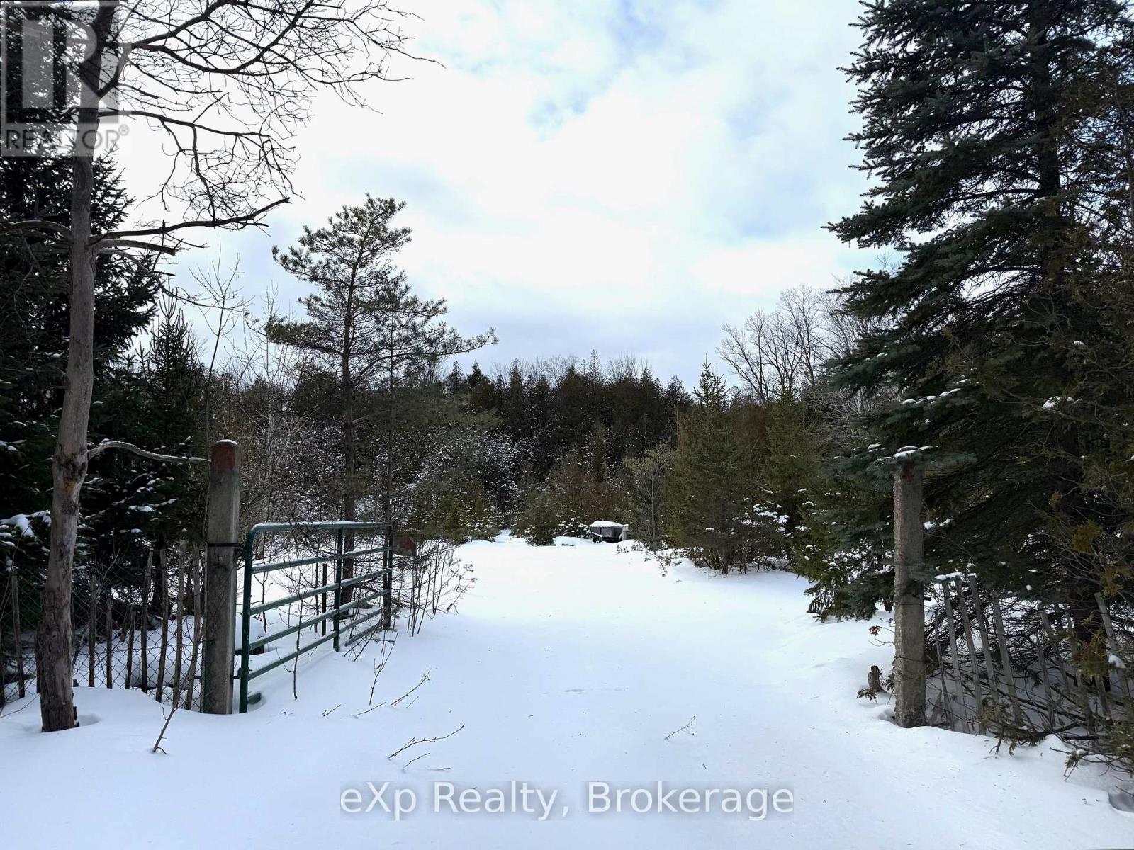 173266 Mulock Road, West Grey, Ontario  N4N 3B8 - Photo 19 - X12645892