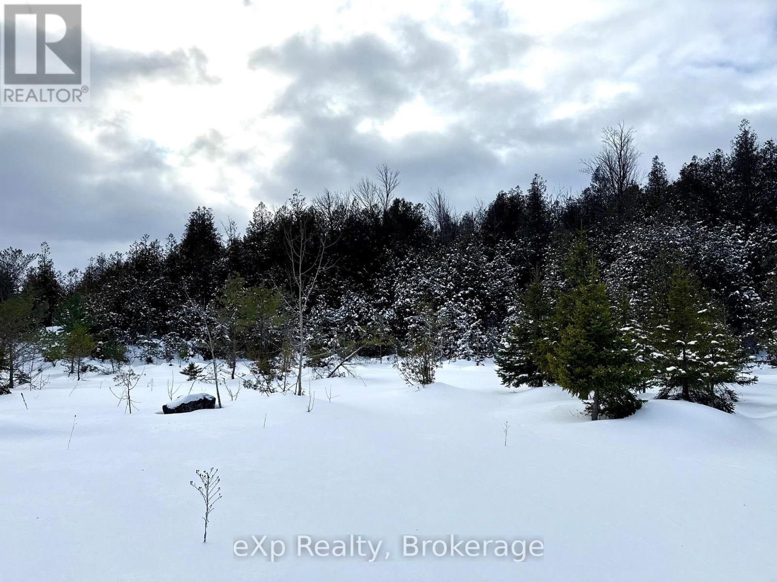 173266 Mulock Road, West Grey, Ontario  N4N 3B8 - Photo 20 - X12645892