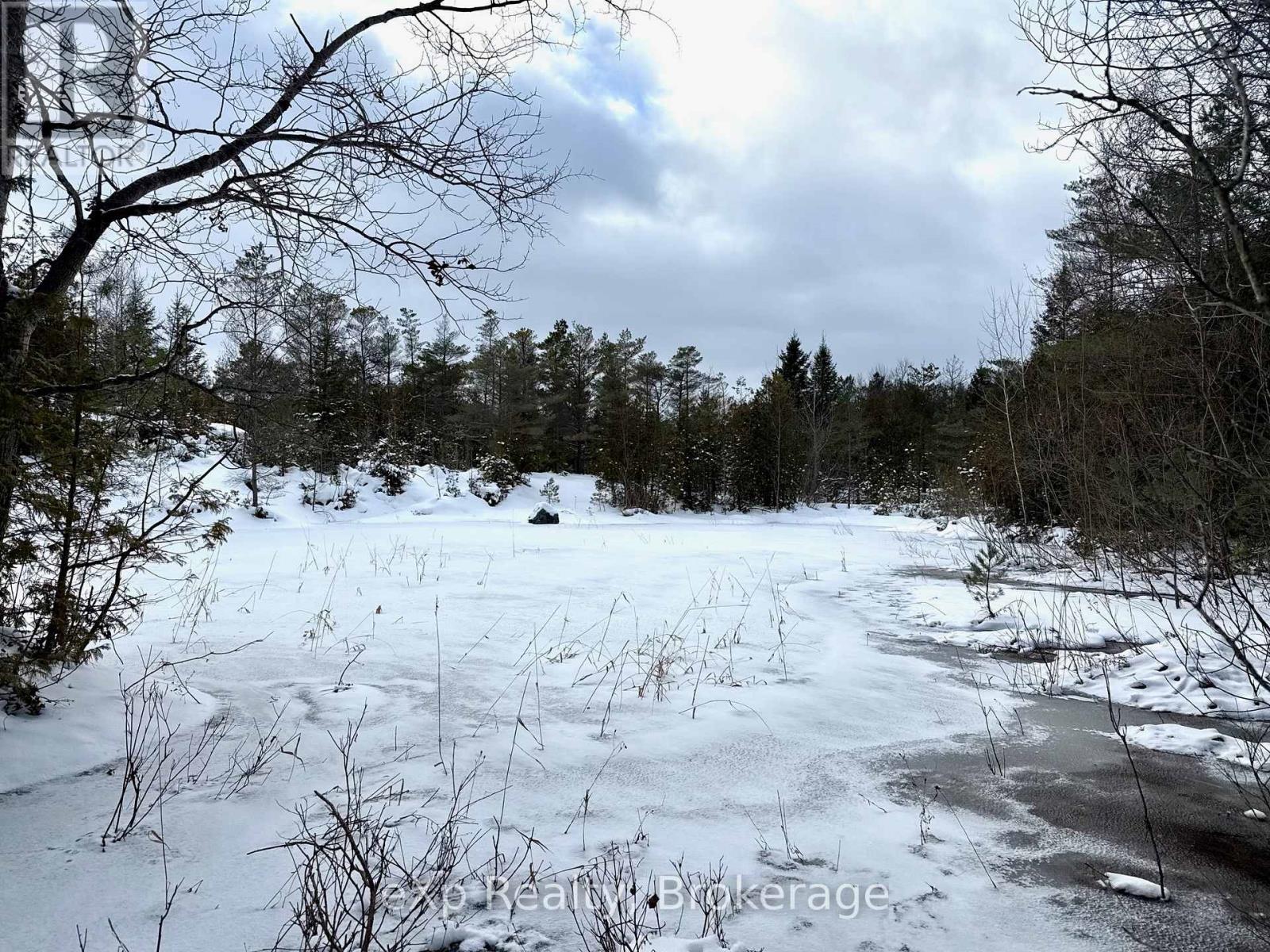 173266 Mulock Road, West Grey, Ontario  N4N 3B8 - Photo 21 - X12645892