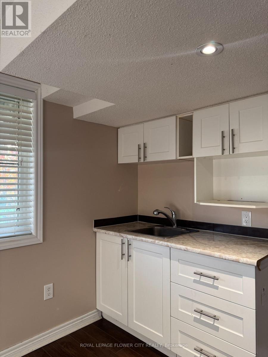 9710 Mclaughlin Road N, Brampton, Ontario  L6X 0T8 - Photo 13 - W12645854