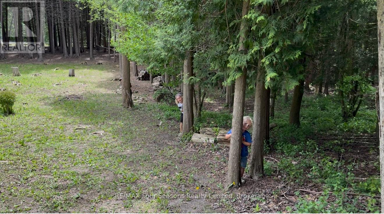 229 S Rankin Street, Saugeen Shores, Ontario  N0H 2L0 - Photo 8 - X12062589