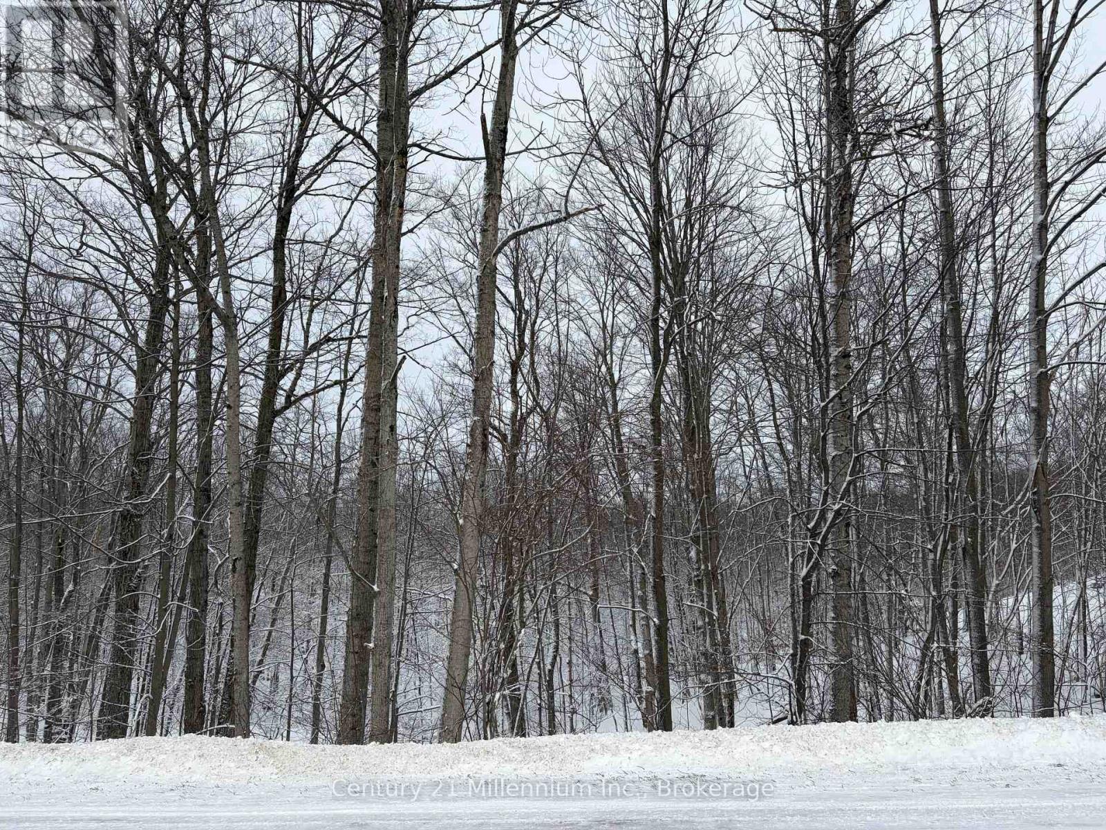 444613 Concession 8, West Grey, Ontario  N0C 1H0 - Photo 5 - X12646174