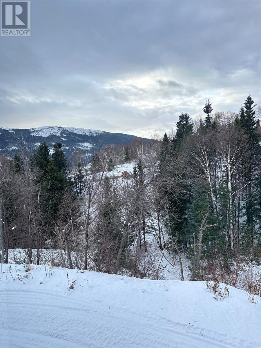 1 High Street, Middle Arm, Newfoundland & Labrador  A0K 3R0 - Photo 38 - 1293363