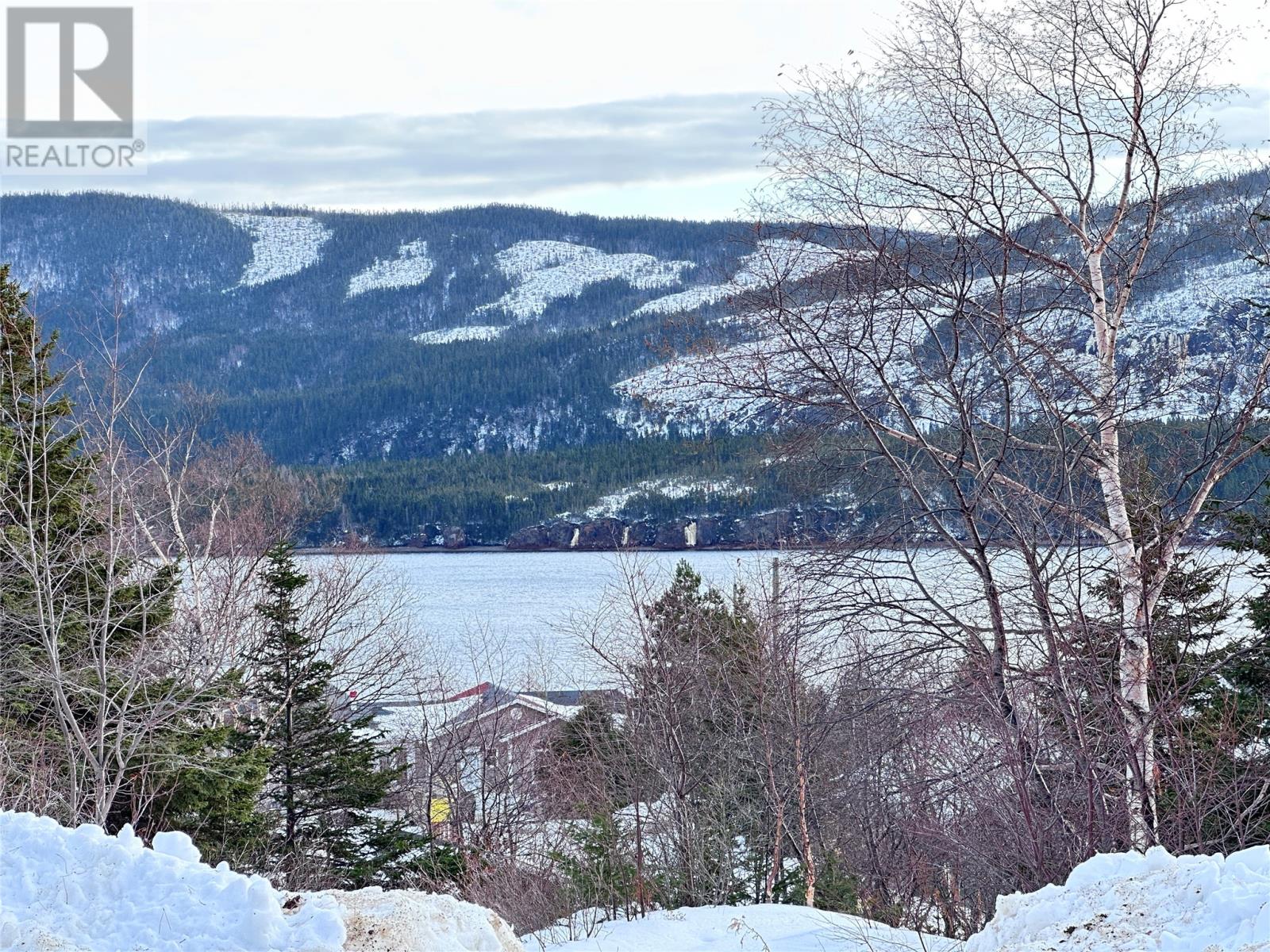 1 High Street, Middle Arm, Newfoundland & Labrador  A0K 3R0 - Photo 39 - 1293363