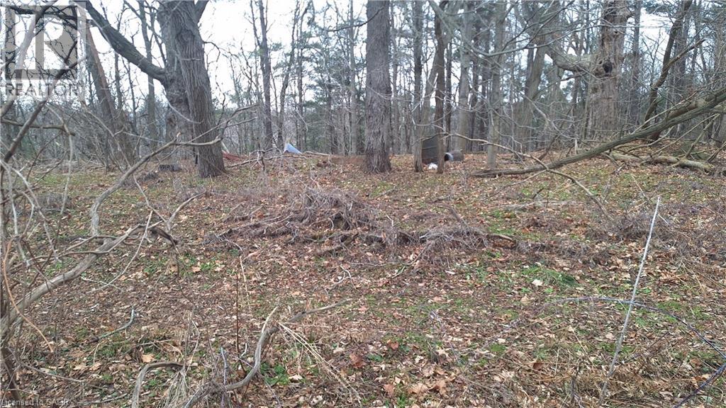 0 Plank Road, Vienna, Ontario  N0J 1Z0 - Photo 11 - 40794737