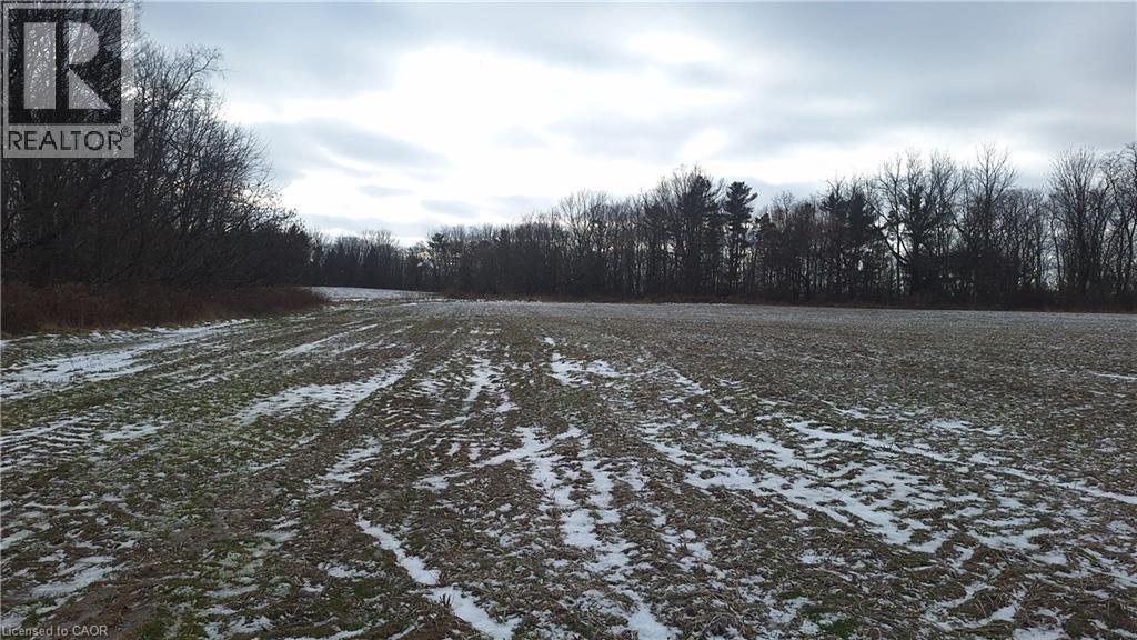 0 Plank Road, Vienna, Ontario  N0J 1Z0 - Photo 4 - 40794737