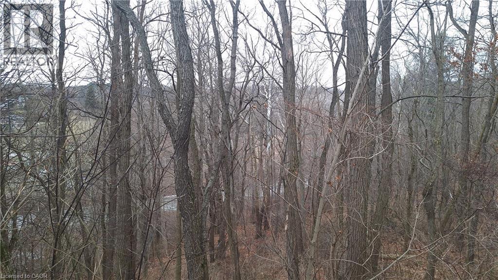 0 Plank Road, Vienna, Ontario  N0J 1Z0 - Photo 5 - 40794737