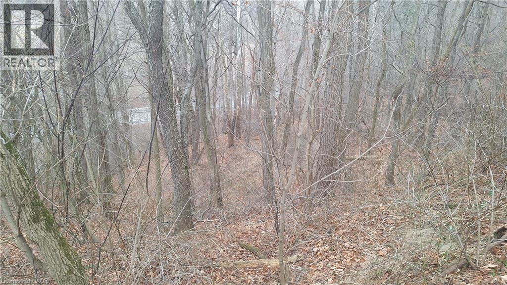 0 Plank Road, Vienna, Ontario  N0J 1Z0 - Photo 9 - 40794737