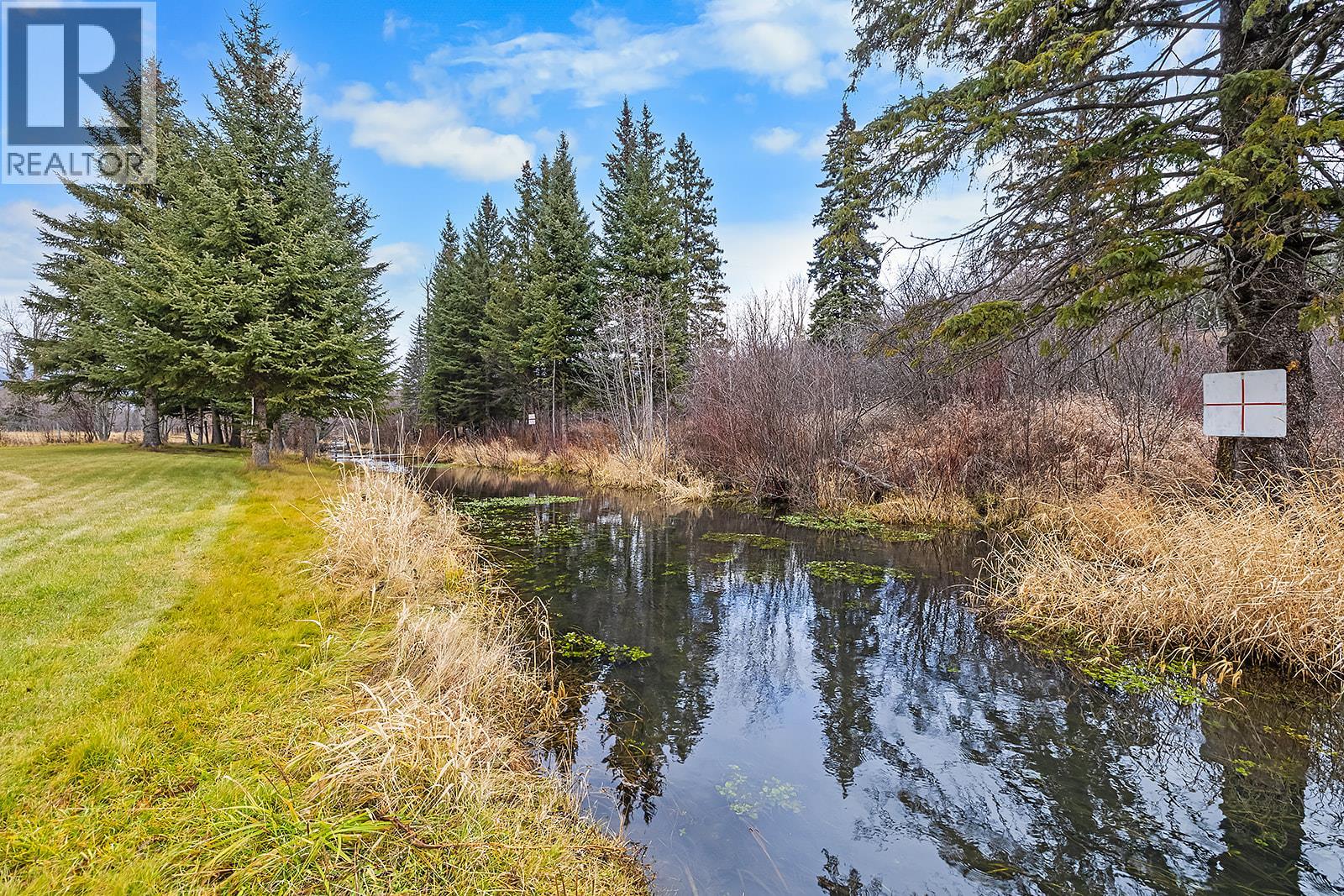 7471 1st Avenue, Fernie, British Columbia  V0B 1M5 - Photo 7 - 10371459