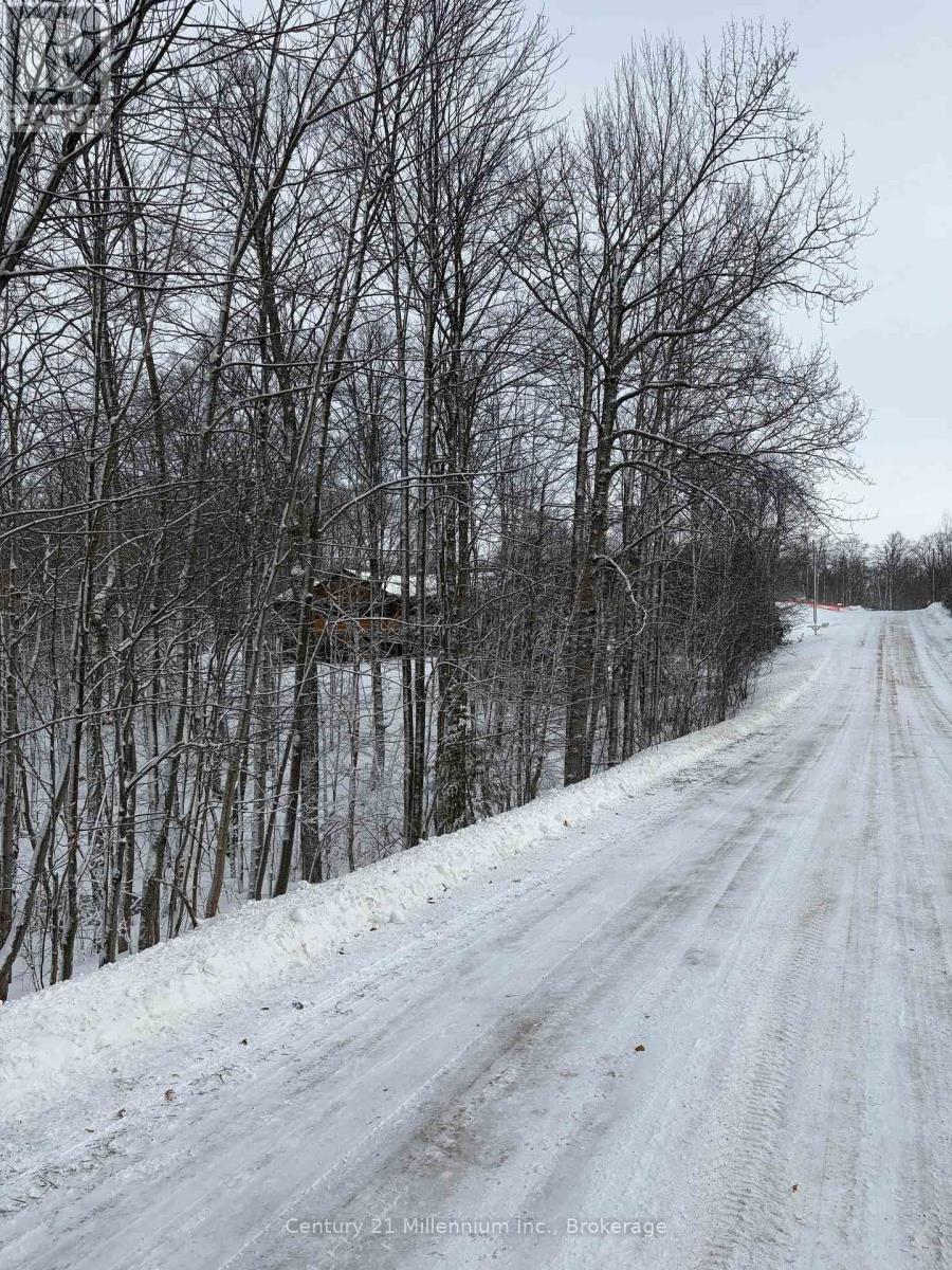 444613 Concession 8, West Grey, Ontario  N0C 1H0 - Photo 3 - X12646174