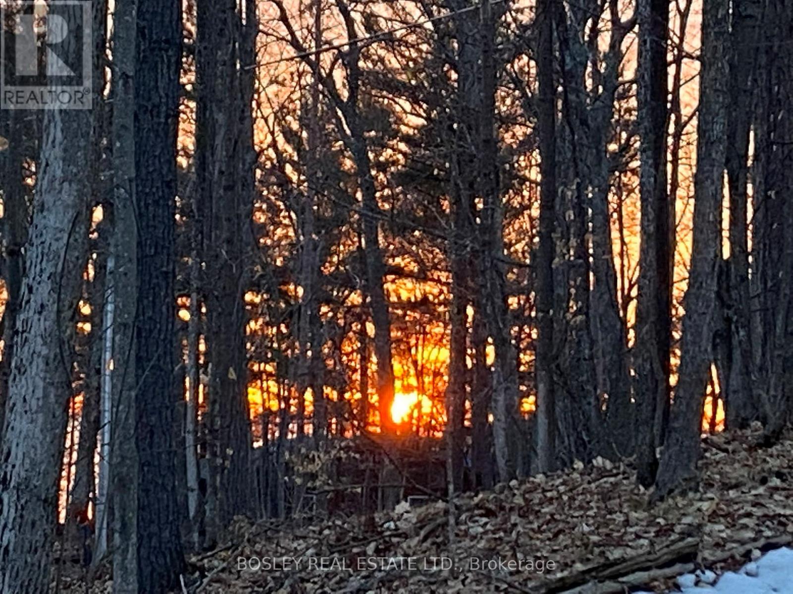 1204 Tiny Beaches Road, Tiny, Ontario  L9M 0H7 - Photo 36 - S12646586