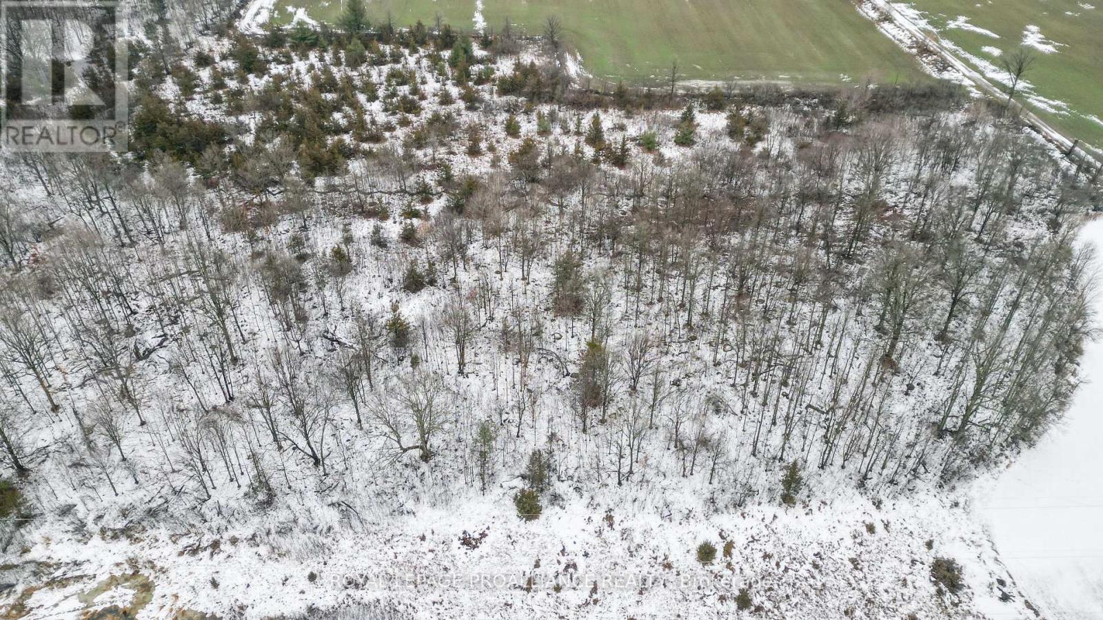 256 Moira Road, Centre Hastings, Ontario  K0K 3E0 - Photo 45 - X12646504