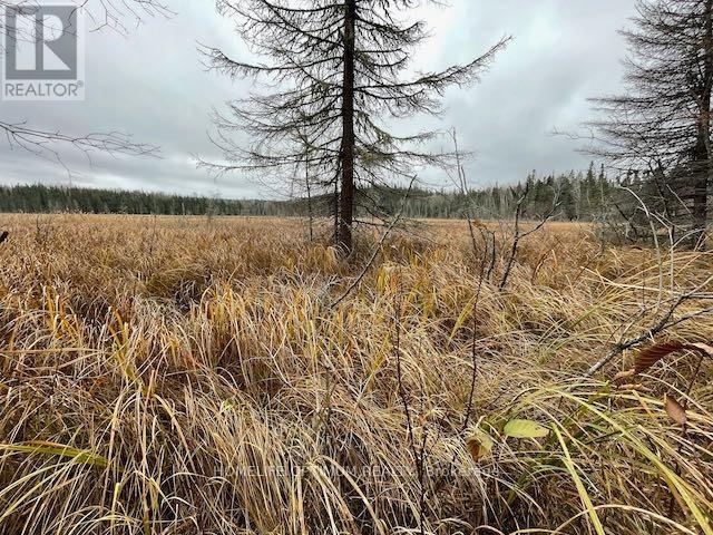 Pcl 7576 0 N, Dryden, Ontario  P0V 1P0 - Photo 18 - X12646542