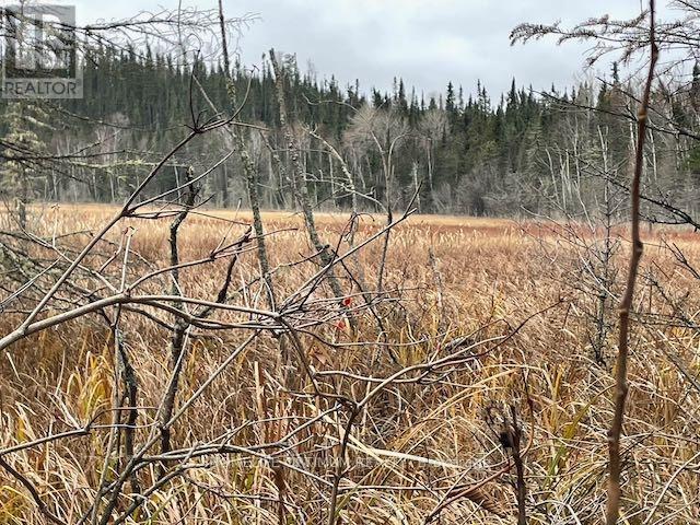 Pcl 7576 0 N, Dryden, Ontario  P0V 1P0 - Photo 3 - X12646542