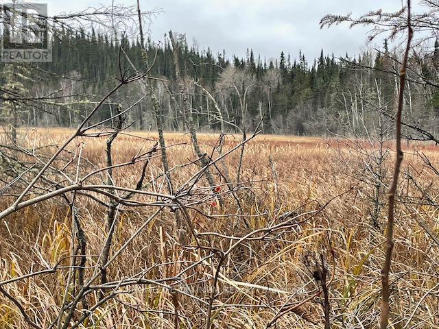 Pcl 7576 0 N, Dryden, Ontario  P0V 1P0 - Photo 4 - X12646542